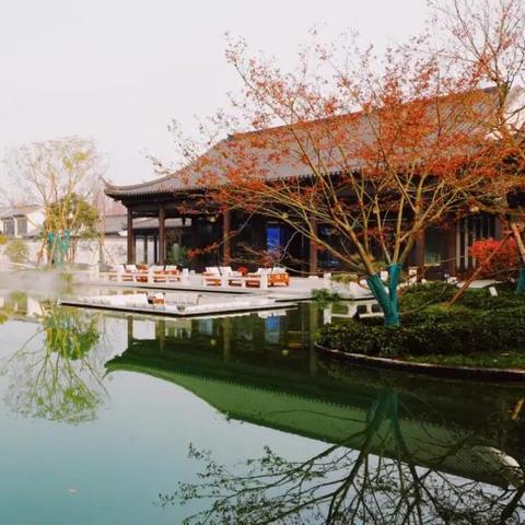 (小镇大厨关卡名称)探索小镇大厨完整地图：一场美食与冒险的奇妙旅程